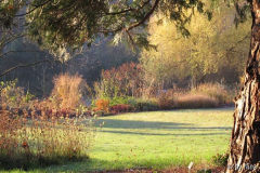 Blick vom Schreibtisch, 25. November 201