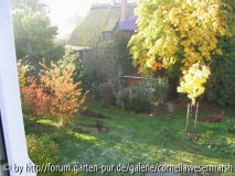2003.1.Okt.jpg