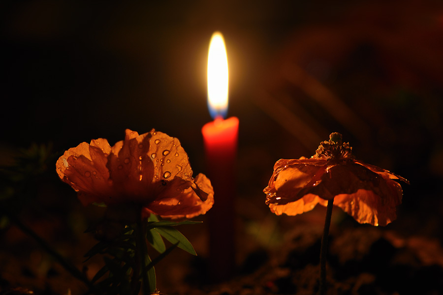 1. Advent 2011