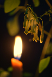 Adventsglocken
