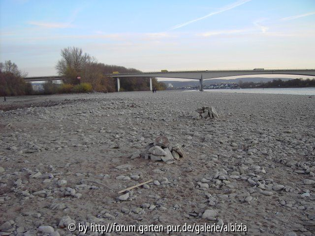 Vater Rhein - wo isser?