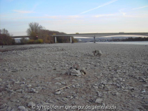 Vater Rhein - wo isser?