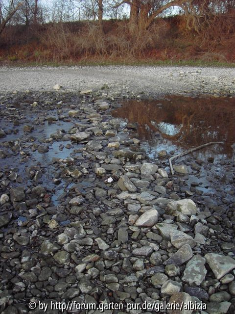 ab marsch in den Rhein