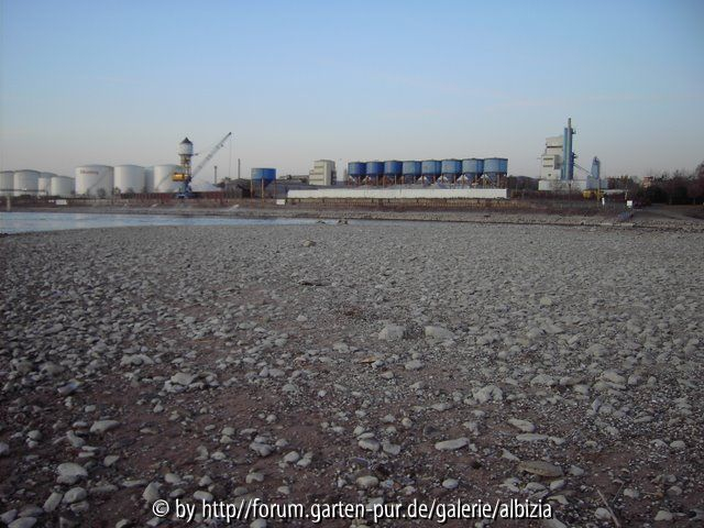 Hafen - trocken gelegt