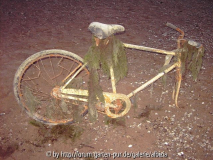 Das Fahrrad des Bacchus