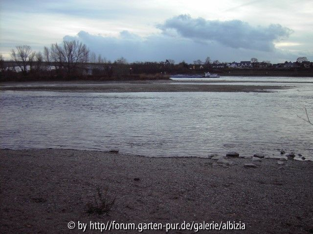 ich steh noch im Rhein drin
