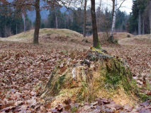 Hallstättisches Gräberfeld