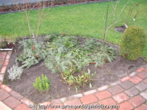 Rosenbeet rechts 12.2011