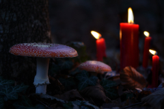 Vierter Advent 2011