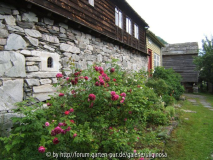 Norwegen Agatunet.JPG