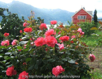 Norwegen, Bleie.JPG