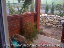 Ein Erstversuch der Bepflanzung.  Zwischen Terrasse und Trockenmauer habe ich 2m Platz. Von der Trockenmauer bis zum Zaun sind es 80cm.