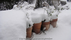 Winter 2011,08