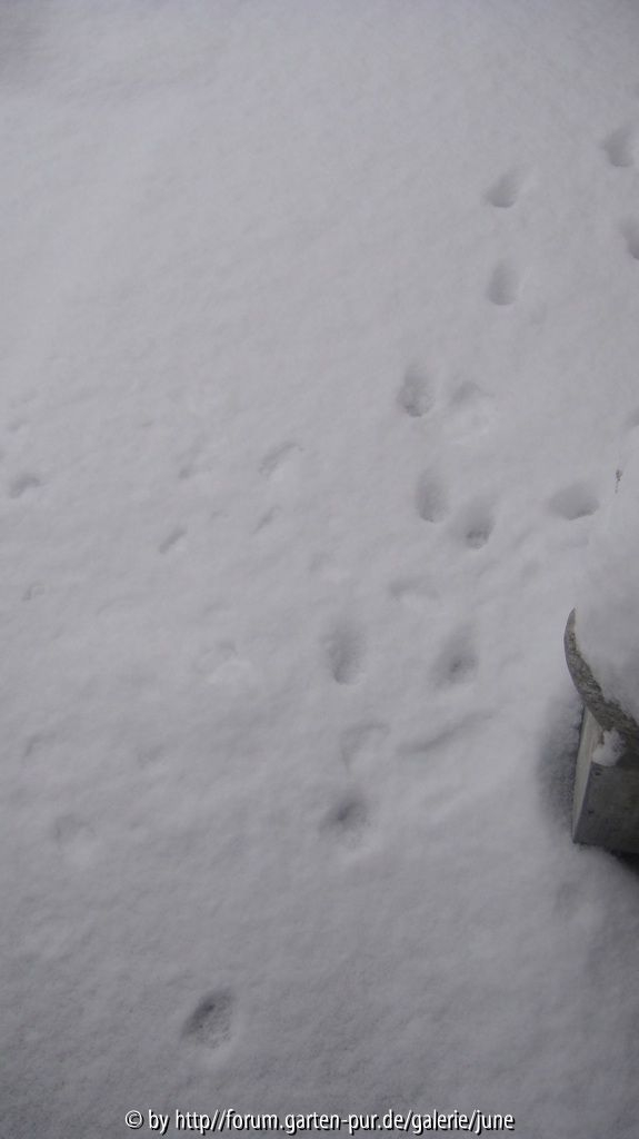 Winter 2011,07