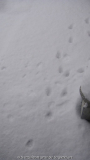 Winter 2011,07
