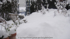 Winter 2011,05