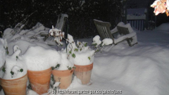 Winter 2011,04