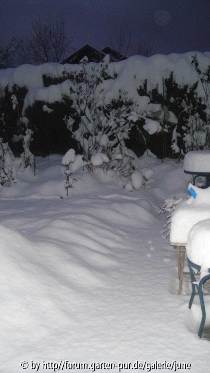 Winter 2011,03