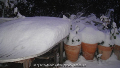Winter 2011,02