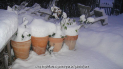 Winter 2011,01