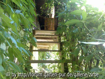 Eine alte Holztreppe im Böhmerwald