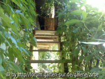 Eine alte Holztreppe im Böhmerwald