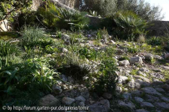 Garten3 11-12-22.jpg