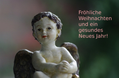 bild_der_woche_18.jpg