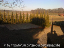 Wintersonne