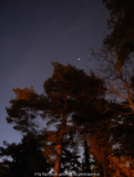 Nacht im Garten
