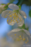 april