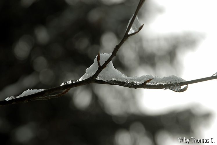 Eifel: Tauwetter