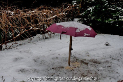 Futterplatz