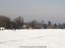 Zeuthener See 5 120212.jpg