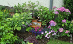 BILD0985.JPG