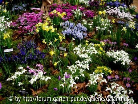 Stand von Broadleigh Gardens