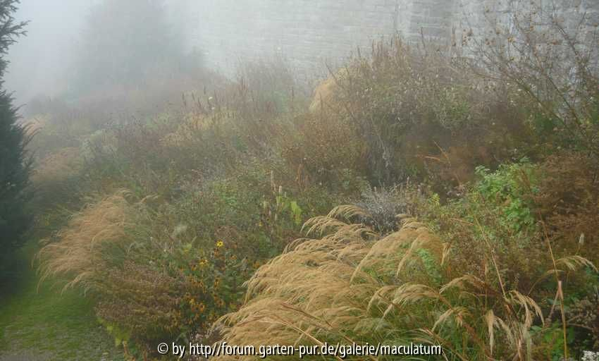 HT Herbst