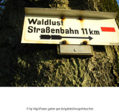 Strassenbahn 11KM