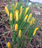 Endlich Frühling...