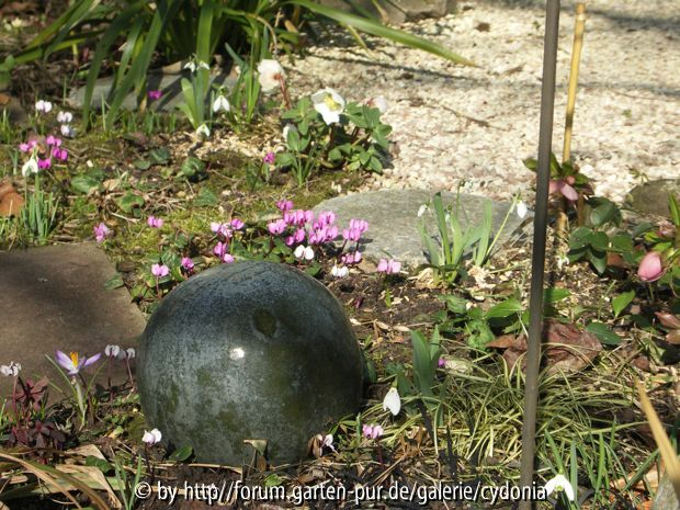 2012-02-27 Frühling