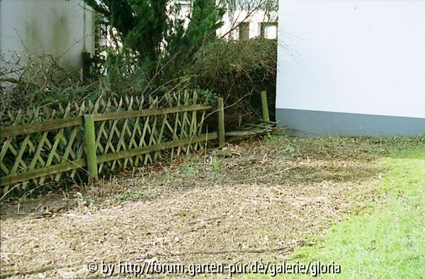 Weg zur Garage - April 2004