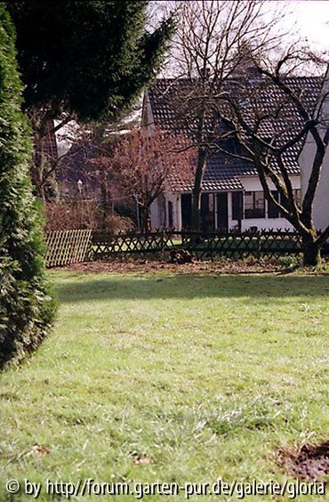 Garten unten links - April 2004