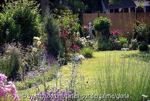 Garten unten links - Juli 2005