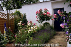 Weg zur Garage - Juni 2005
