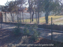 Mein Gartennachbar