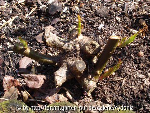 2012-03-27 Evelyn