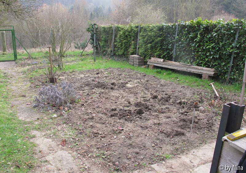 Gemüsegarten Vorher-Bild