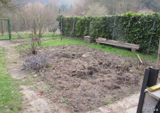 Gemüsegarten Vorher-Bild
