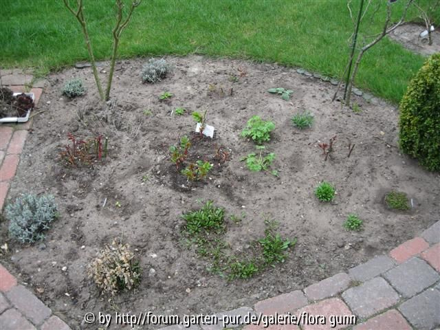 Terrassenbeet rechts 2012-04