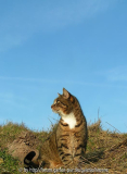 Sonniges Wochenende